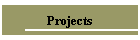 Projects